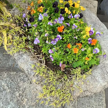 Apartman La Casa Di Bianca *