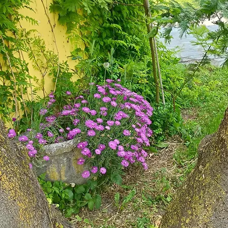 Apartman La Casa Di Bianca Sant'Ambrogio di Torino