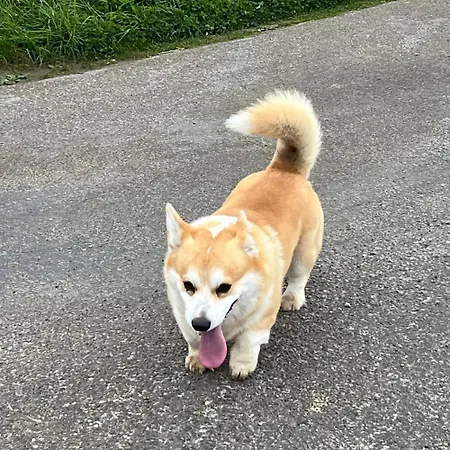 Apartment La Casa Di Bianca Sant'Ambrogio di Torino